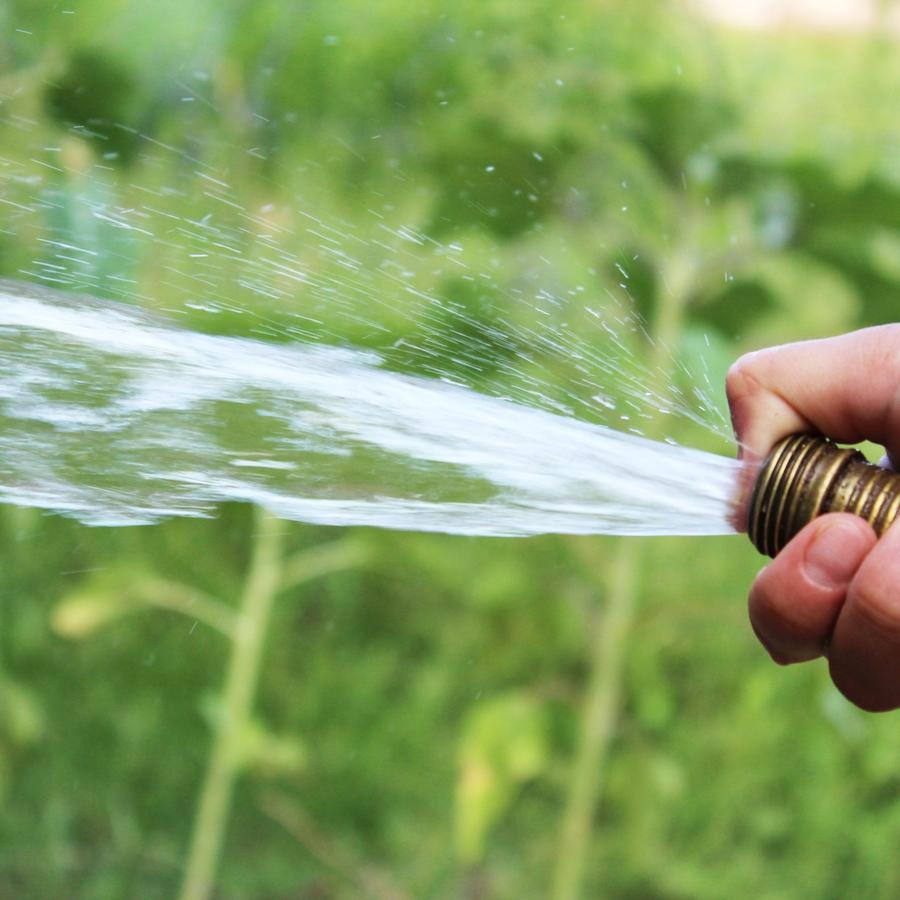 Common Lawn Watering Mistakes Homeowners Should Avoid at All Costs